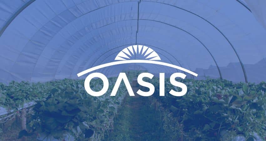 Oasis Armando Alvarez
