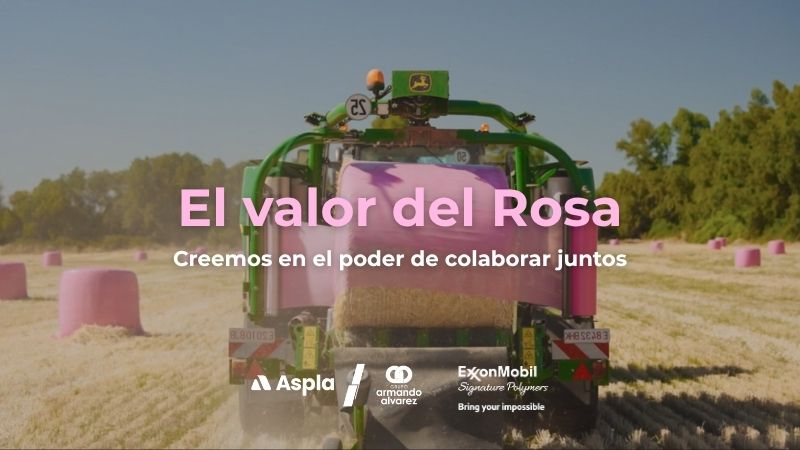 El valor del Rosa